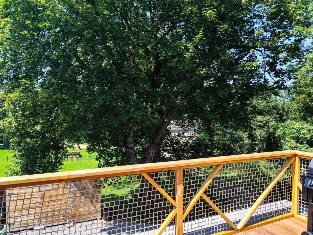 Villa Marie à la Campagne Dolembreux Esterno foto